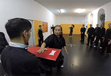 Shaolin Kung Fu Wien Intensiv-Seminar mit Großmeister Bambang 17. - 18.10.2015 Video