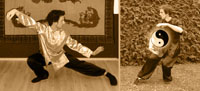 Tai Chi Chuan Wahnam Taijiquan